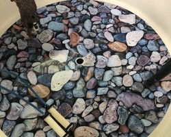 adhésif bassin - Décor 34 - Montpellier